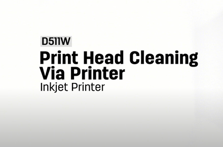 Pembersih kepala Printer melalui Printer