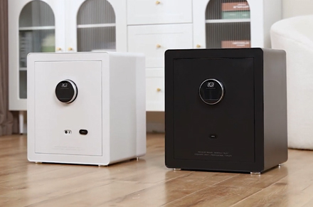 Deli ET630-ET635 kotak brankas rumah tangga